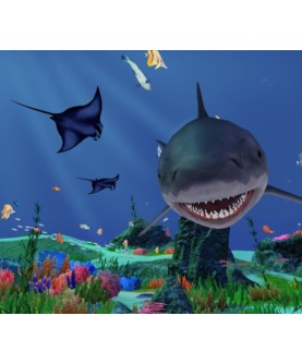 Fancy Fishing VR Steam Key GLOBAL